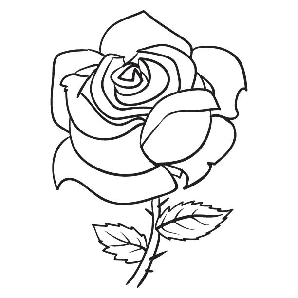 Rose, Blume, Skizze, Färbung, isoliertes Objekt auf weißem Hintergrund, Vektorillustration, – Vektorgrafik