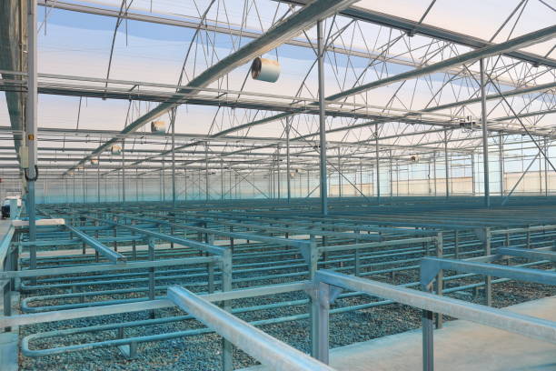 istock Greenhouse with winter farming 1896730135