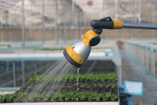 Irrigation system inside the greenhouse