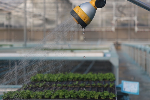 Irrigation system inside the greenhouse