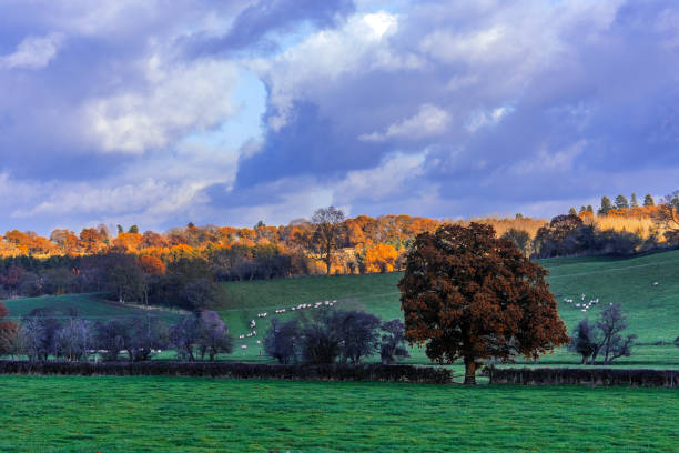 The dramatic autumn landscape at Llandegveth Lake with soft white clouds drifting above the hillside canopy near Pontypool, Torfaen, South Wales, UK