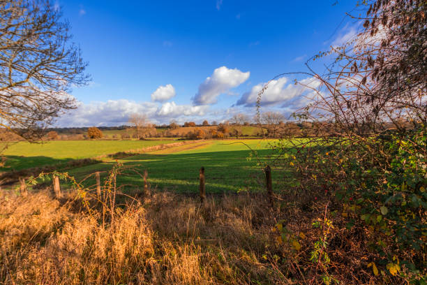 istock autumn landscape warwickshire midlands england uk 1896849036