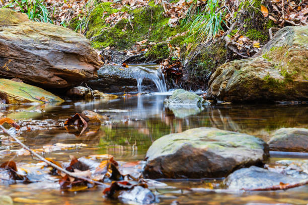 Abstract nature background