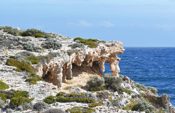 istock Rock formations on Rottnest Island, WA 1896851879