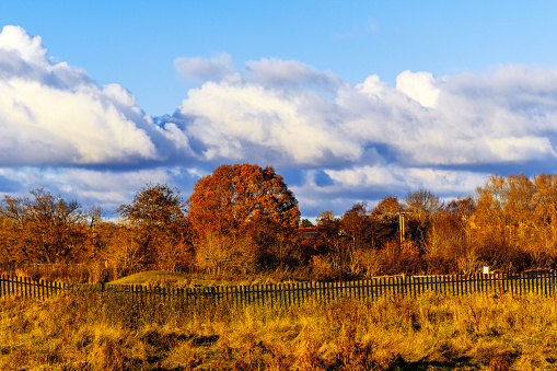 autumn landscape warwickshire midlands england uk