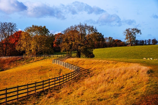 Sunset autumn landscape at countryside. Road along horse farms.