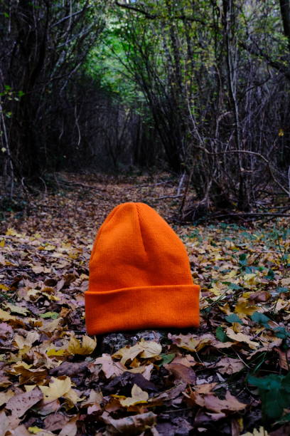 Orange color hat left on the ground in the woods