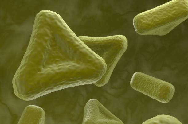 Pollen is a powdery substance produced by most types of flowers of seed plants for the purpose of sexual reproduction. It consists of pollen grains (highly reduced microgametophytes), which produce male gametes (sperm cells). Pollen grains have a hard coat made of sporopollenin that protects the gametophytes during the process of their movement from the stamens to the pistil of flowering plants, or from the male cone to the female cone of gymnosperms.