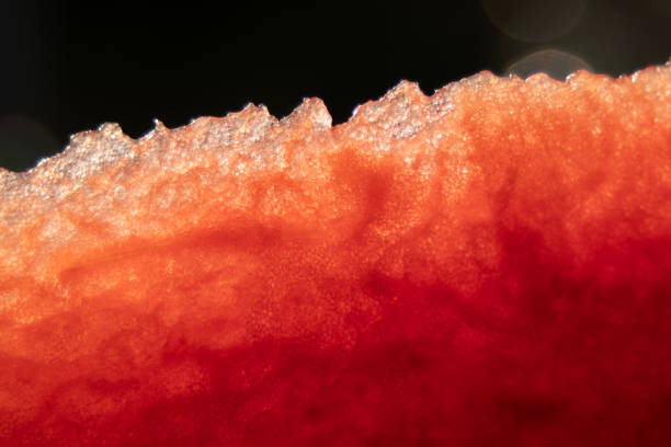 Red and pink watermelon flesh Zoom in with a macro lens or close up to create strange and beautiful images.