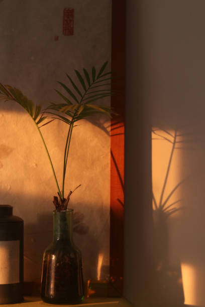 istock Warm light comes in from outside and shines on the glass vase inside. Shadow, wall. 1897024943