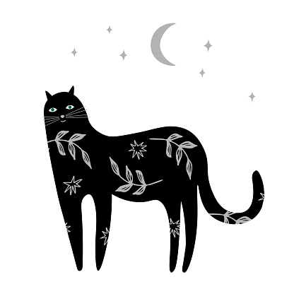 Black cat at night cartoon style hand drawn vector illustration. Cute magic animal with floral patterns, moon, stars. Design element for card, print, postcard, paper, flyer. Superstitions , horoscop, Halloween and symbol.