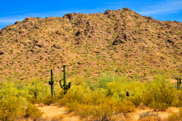 istock San Tan Mountains Sonora Desert Arizona 1897112715