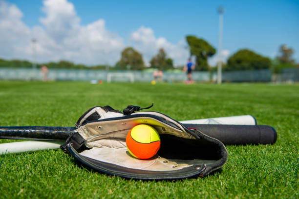 Baseball bat, ball and gloves on green field background.