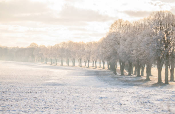 Pictures of landscapes, wild life, birds, the Baltic Sea during different seasons in 2023. Pictures from southern Sweden, Österlen, Fyledalen, Ystad.
