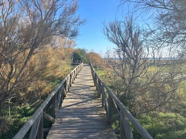 istock Wooden Boardwalk in Sotogrande 1897235731
