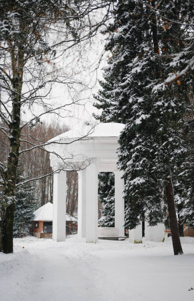 istock Winter Park in St. Petersburg 1897319673