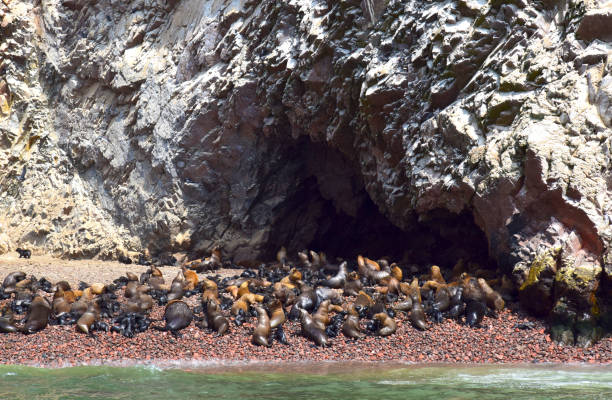 istock Rock formations in the sea 1897346089