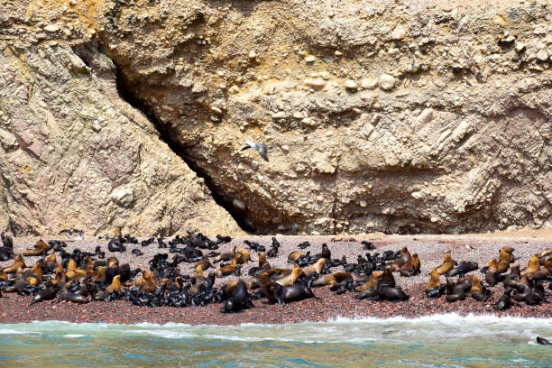 istock Rock formations in the sea 1897347131