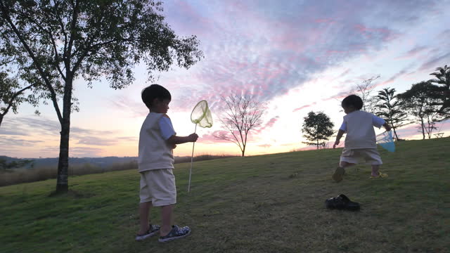 Childhood Magic: Outdoor Adventure with a Butterfly Net in the Twilight Grasslands.