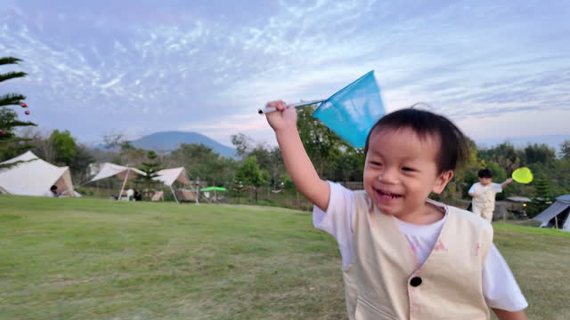 Little Boy's Outdoor Adventure: Exploring Nature with Butterfly Net in a Sunny Meadow.