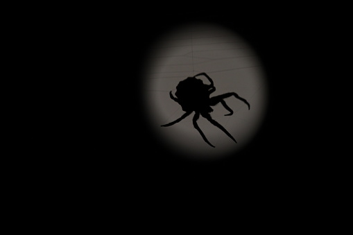 Spooky Spider in the its web, Spider at night. Black and White Spider against moon.