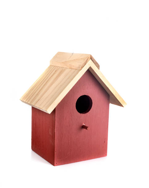 istock wood birdhouse in studio 1897488468