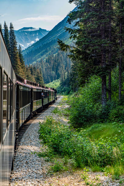 istock White Pass Summit excursion tour train in the mountains, Alaska, USA. 1897514237