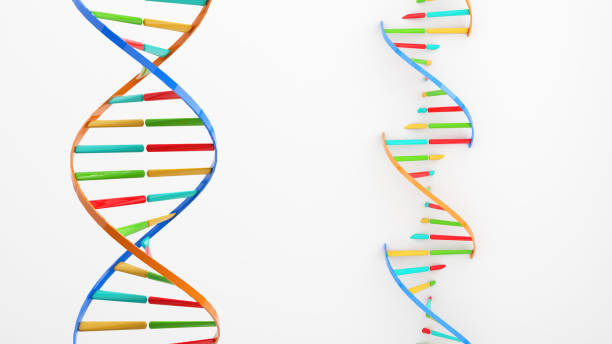 istock Education and research knowledge medical and health,Research on DNA,DNA structure study,3d rendering 1897531922