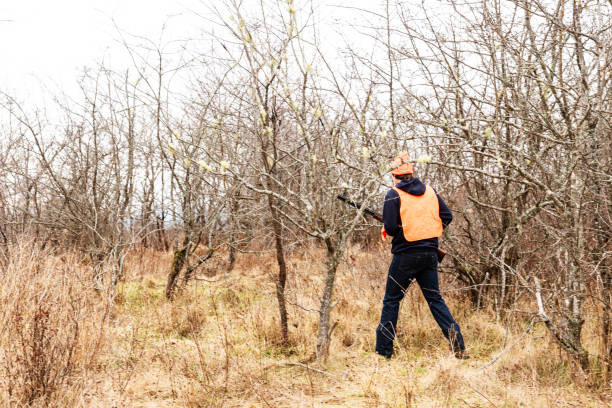 A young male hunter holding shotgun while out bird hunting in the winter