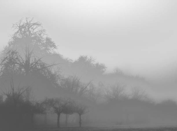 istock Shade of gray 1897559930