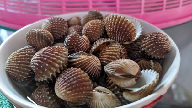 istock a portion of shellfish seafood which is rich in protein and iron 1897584624