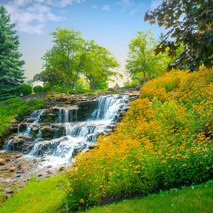 Waterfall with flowers- Hamilton County, Indiana