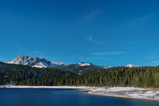 Coniferous forest on the snowy shore of the Black Lake. Durmitor National Park, Montenegro. High quality photo