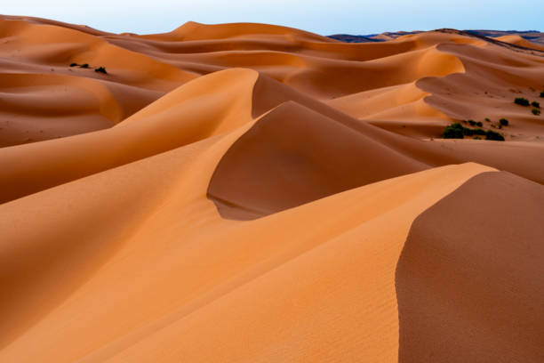 istock Sand dunes in the Sahara Desert, Morocco 1897707833