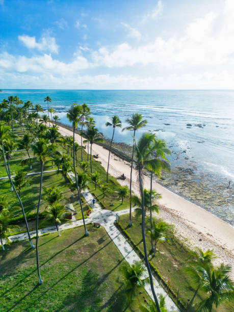 istock Drone view on coastline with Palm beach in Bahia 1897766206