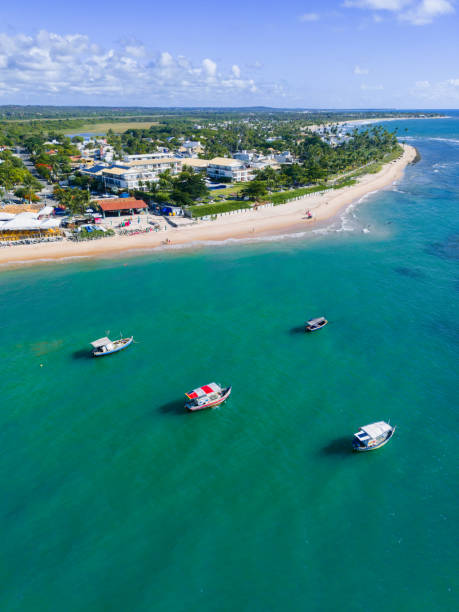 istock Drone view on coastline with Palm beach in Bahia 1897767823