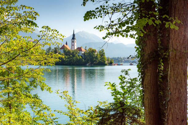 istock Landscape of Slovenia 1897782640