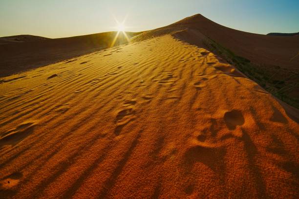 istock Coral Pink Sand Dunes State Park Utah 1897794851
