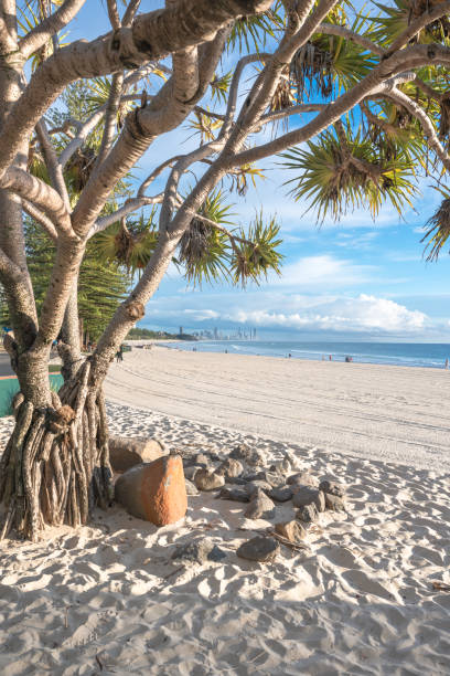 istock Gold Coast Cityscape 1897863581