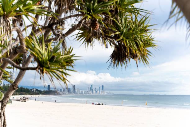 istock Gold Coast Cityscape 1897864597