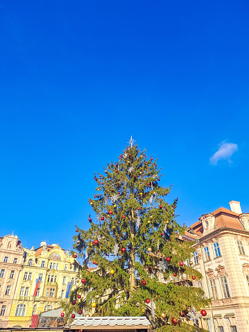 A beautiful Christmas tree located in the Old Town Square Christmas Market in Prague, Czech Republic. High quality photo