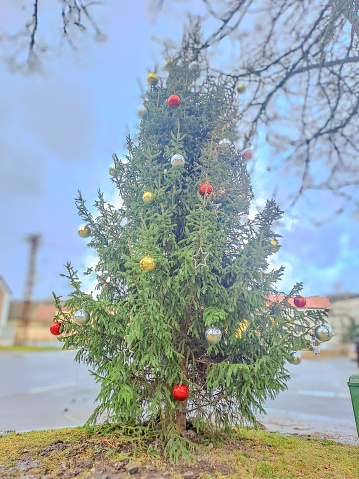 A beautiful Christmas tree located in the village Zadni Treban, Czech Republic. High quality photo