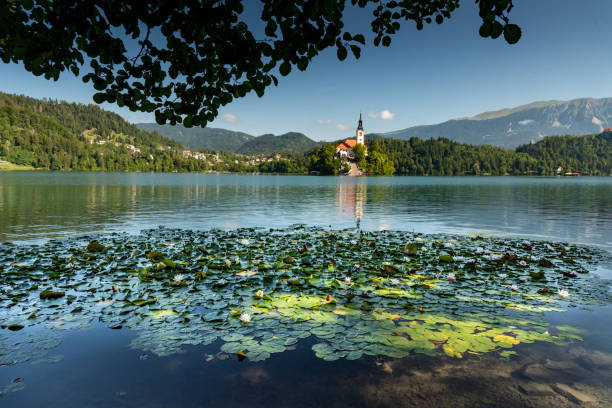 istock Landscape of Slovenia 1897983346