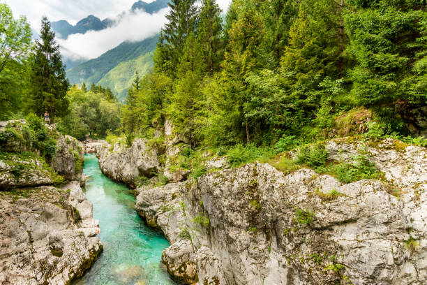 istock Landscape of Slovenia 1898004755