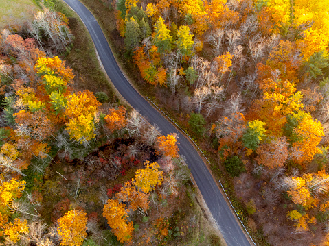 Aerial view of road in colorful autumn forest