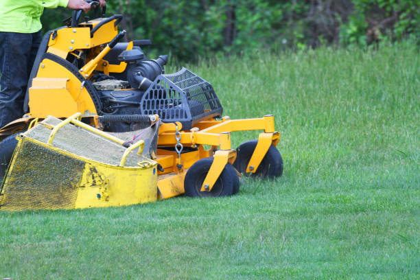 istock manual worker mowing the lawn 1898137088