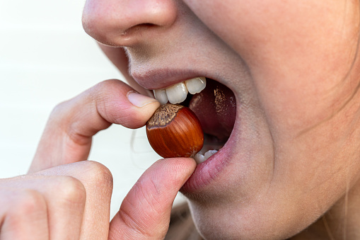 Eating hard nuts. strong white teeth bite a nut. An open mouth with a nut. crack the hazelnut shell.