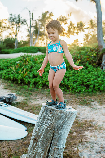 A brace and adventurous four year old Eurasian girl wearing a swimsuit balances on a tall tree trunk during a tropical family vacation.
