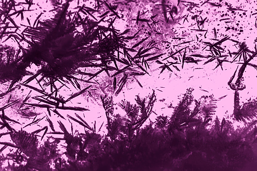 There is a light purple background, with fluffy and feathery clumps both on the bottom and floating in the air in a darker purple.  There are also random shard-like pieces, star shapes and cloudy bits floating.