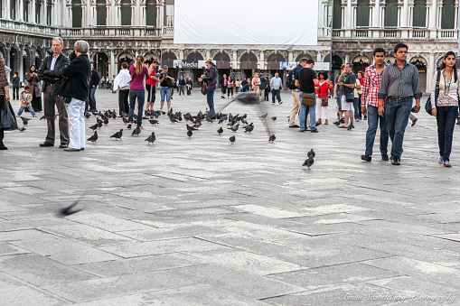 Venice Italy - May 10 2011; crowd  of tourists and pigeons in St. Mark's Square